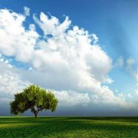 牛轧糖有点忙头像