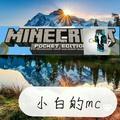 小白的mc 头像