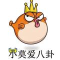 小莫爱八卦 头像