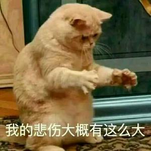 党建工作存在的问题（干货，五点） 一是政治站位仍不够高。有的单位和部门对新时期党建工作形势认识不足，未能准确把握党建工作的任务和要求，特别是没 ...