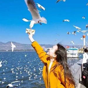 头条问答 怀孕11周总有一点出血 医院检查都没问题 这是什么原因 3个回答