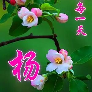 冬日暖阳124086398