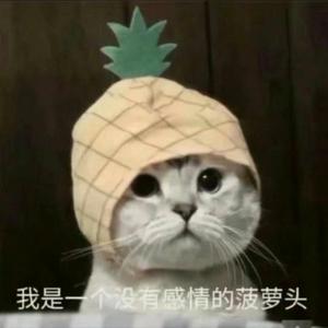 跟观望学韩语