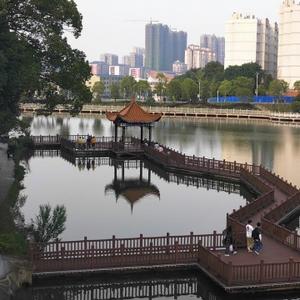 宁群1950