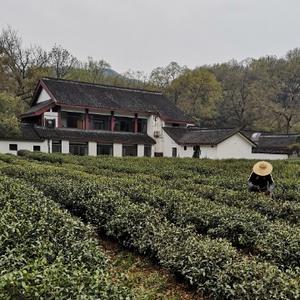 初二说电影头像