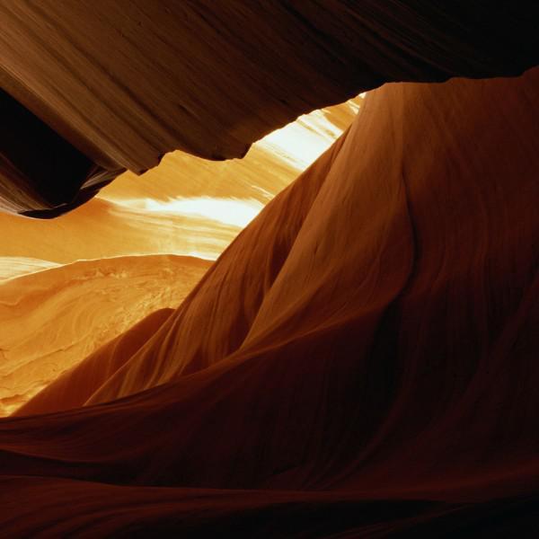 汽车智评价头像