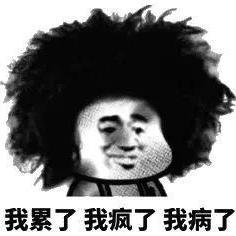 王大拿砖