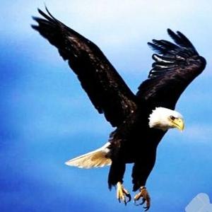 悟空问答 韩国灾难电影 白头山 评分不到7分 为什么 喷码一族的回答 0赞