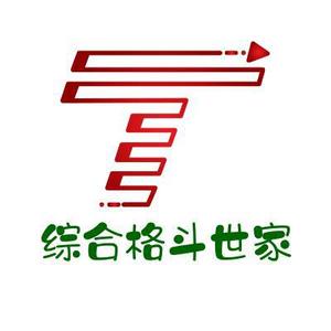 综合格斗世家