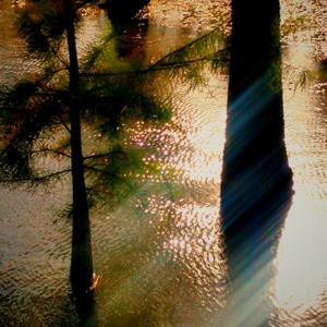 一根头发可以做亲子鉴定吗 头条问答