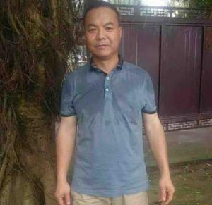 南方的雁好
