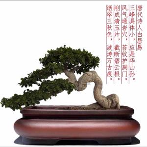 头条问答 大米一般可以保存多久 期待未来江与城的回答 0赞