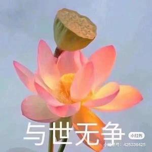 娱乐爆笑汇 头像