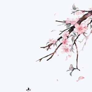 豆芽说历史 头像