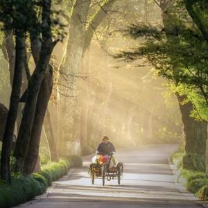 乡村旅游播客 头像