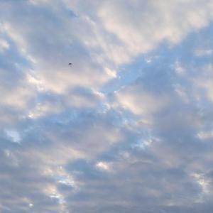 婷婷妈妈生活记 头像