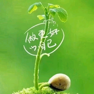 浅梦伴时光 头像