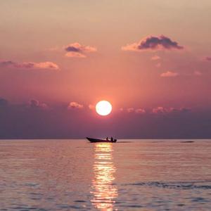 星辰谈世界 头像