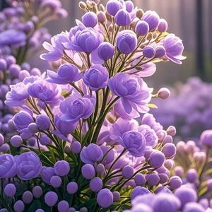 从小就是大连人 头像