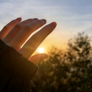 会飞的麋鹿 头像
