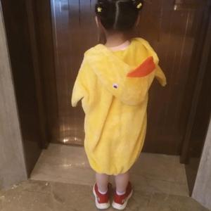 努力上岸的珊珊 头像