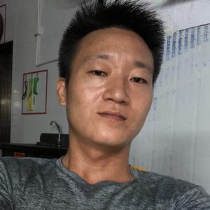 乐观的鲸鱼V
