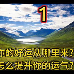 八字人生撩未来 头像