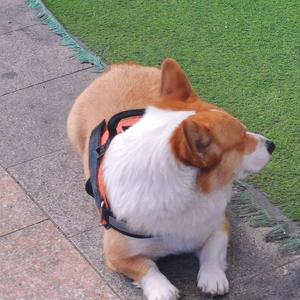 极速冲浪达人 头像