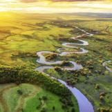 俊俏饭团gr 头像