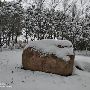 浉河教育老周 头像