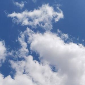 云淡风轻杂谈 头像