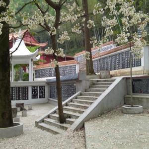 极速杰西5a2