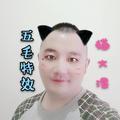 五毛特效猫大师头像