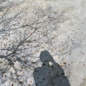 不许欺负我的猪猪 头像