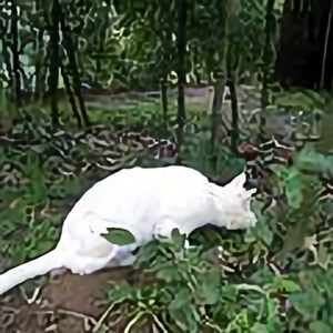 晓飞画文学 头像