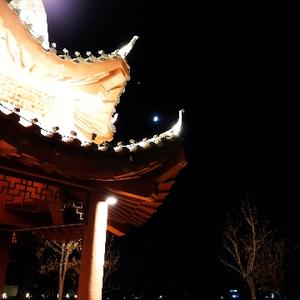 大海碗肉包子 头像