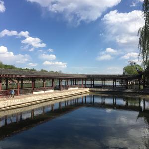 努力的你看起来很美 头像