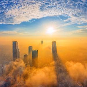 八桂新奇兵 头像