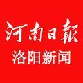 河南日报洛阳新闻 头像