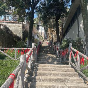 为娱不为鱼 头像