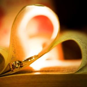 多彩风筝小石头 头像