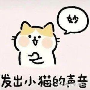 猫南北先生 头像