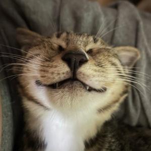 眼睛长在辟谷上 头像