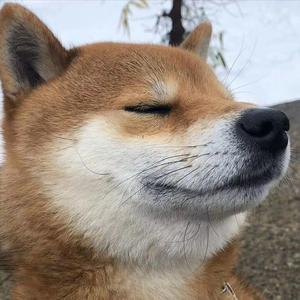 充满元气的视频鉴赏 头像