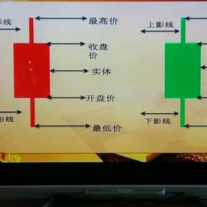 实战龙回头头像