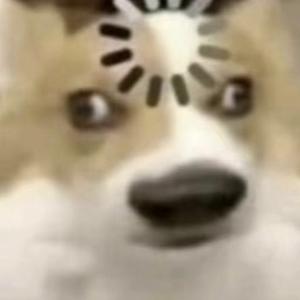 我回来了 头像