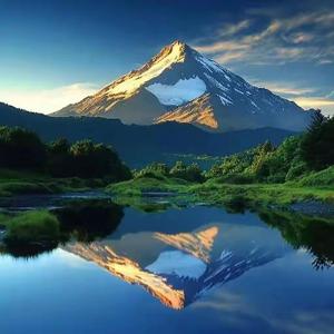 碳水化合物 头像