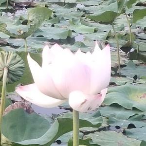 风云人物说2aiu 头像