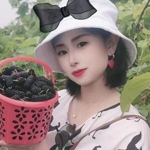思念没有刹车qoPY 头像