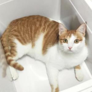 不止十万个为什么 头像